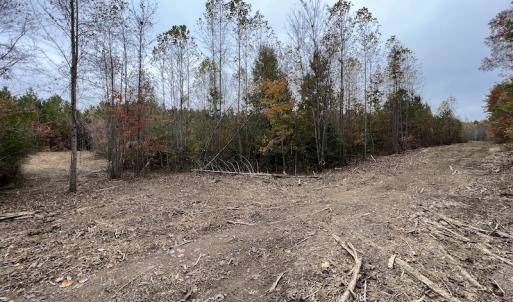 Photo #17 of SOLD property in Off Beamon Hunt Road, Warrenton, NC 16.0 acres