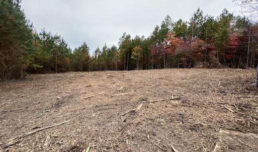 Photo #18 of SOLD property in Off Beamon Hunt Road, Warrenton, NC 16.0 acres