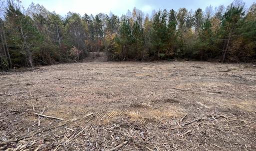 Photo #19 of SOLD property in Off Beamon Hunt Road, Warrenton, NC 16.0 acres