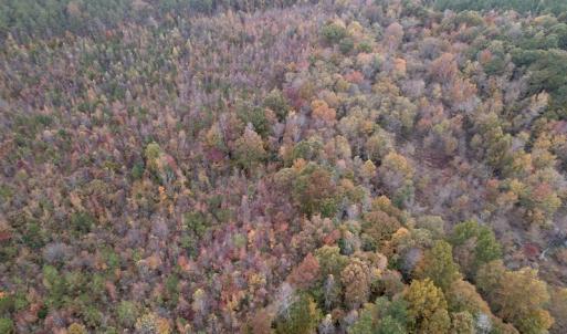 Photo #6 of SOLD property in Off Beamon Hunt Road, Warrenton, NC 16.0 acres
