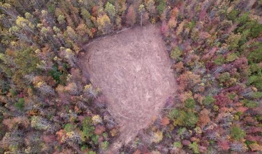 Photo #9 of SOLD property in Off Beamon Hunt Road, Warrenton, NC 16.0 acres