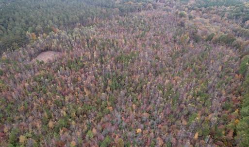 Photo #11 of SOLD property in Off Beamon Hunt Road, Warrenton, NC 16.0 acres