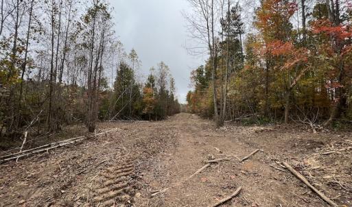 Photo #16 of SOLD property in Off Beamon Hunt Road, Warrenton, NC 16.0 acres