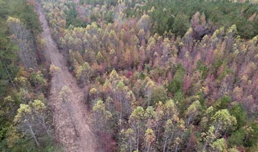 Photo #3 of SOLD property in Off Beamon Hunt Road, Warrenton, NC 16.0 acres