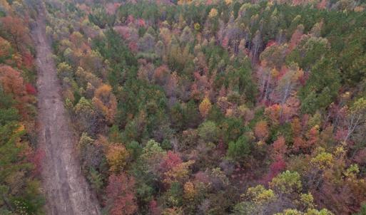 Photo #4 of SOLD property in Off Beamon Hunt Road, Warrenton, NC 16.0 acres