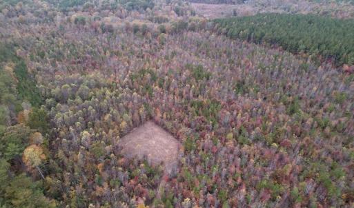 Photo #5 of SOLD property in Off Beamon Hunt Road, Warrenton, NC 16.0 acres