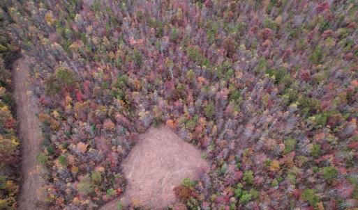 Photo #8 of SOLD property in Off Beamon Hunt Road, Warrenton, NC 16.0 acres