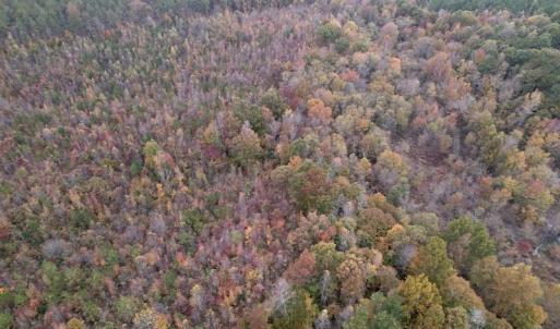 Photo #9 of SOLD property in Off Beamon Hunt Road, Warrenton, NC 23.7 acres