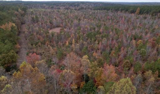 Photo #10 of SOLD property in Off Beamon Hunt Road, Warrenton, NC 23.7 acres