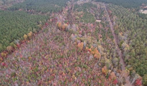 Photo #11 of SOLD property in Off Beamon Hunt Road, Warrenton, NC 23.7 acres