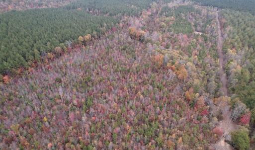Photo #13 of SOLD property in Off Beamon Hunt Road, Warrenton, NC 23.7 acres
