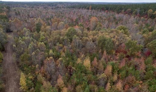 Photo #14 of SOLD property in Off Beamon Hunt Road, Warrenton, NC 23.7 acres