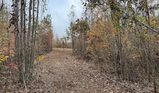 Photo #15 of SOLD property in Off Beamon Hunt Road, Warrenton, NC 23.7 acres