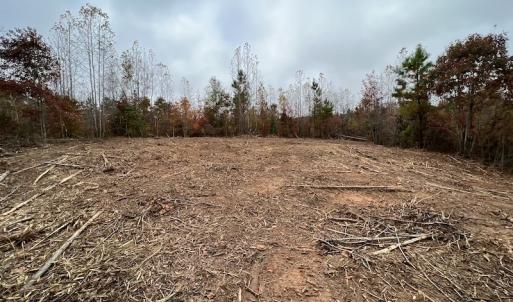 Photo #16 of SOLD property in Off Beamon Hunt Road, Warrenton, NC 23.7 acres