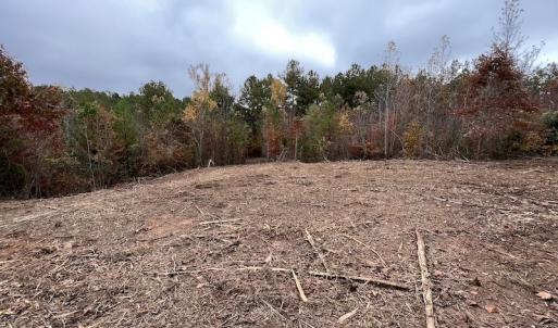 Photo #17 of SOLD property in Off Beamon Hunt Road, Warrenton, NC 23.7 acres