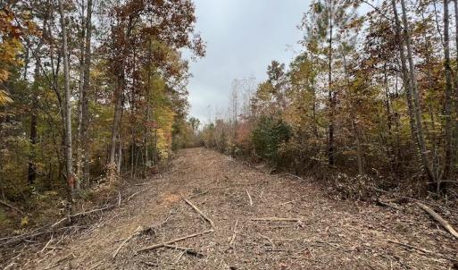 Photo #18 of SOLD property in Off Beamon Hunt Road, Warrenton, NC 23.7 acres