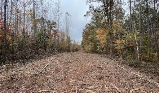 Photo #19 of SOLD property in Off Beamon Hunt Road, Warrenton, NC 23.7 acres