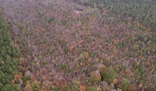Photo #5 of SOLD property in Off Beamon Hunt Road, Warrenton, NC 23.7 acres