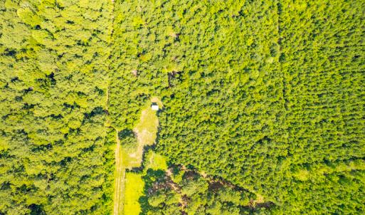 Photo #10 of SOLD property in Off Galloway Road, Grimesland, NC 19.1 acres