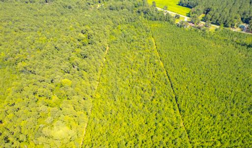 Photo #11 of SOLD property in Off Galloway Road, Grimesland, NC 19.1 acres