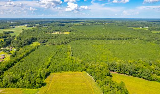 Photo #13 of SOLD property in Off Galloway Road, Grimesland, NC 19.1 acres