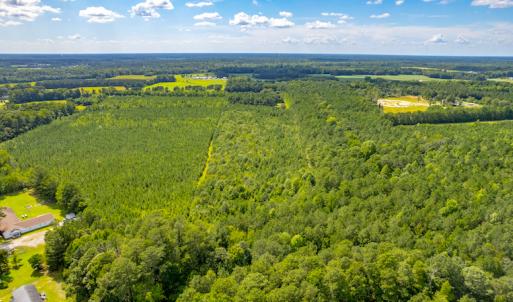 Photo #14 of SOLD property in Off Galloway Road, Grimesland, NC 19.1 acres