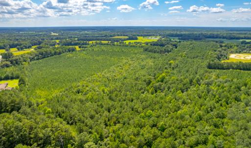 Photo #15 of SOLD property in Off Galloway Road, Grimesland, NC 19.1 acres