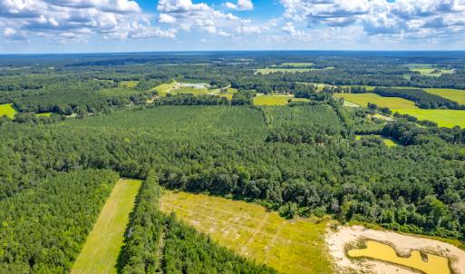 Photo #16 of SOLD property in Off Galloway Road, Grimesland, NC 19.1 acres
