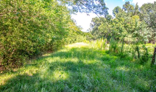 Photo #19 of SOLD property in Off Galloway Road, Grimesland, NC 19.1 acres