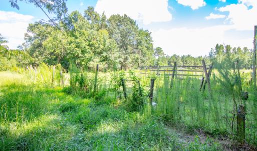 Photo #20 of SOLD property in Off Galloway Road, Grimesland, NC 19.1 acres