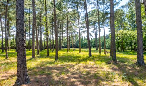 Photo #23 of SOLD property in Off Galloway Road, Grimesland, NC 19.1 acres