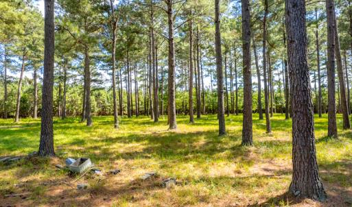 Photo #24 of SOLD property in Off Galloway Road, Grimesland, NC 19.1 acres