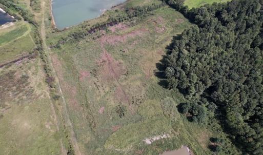 Photo #10 of SOLD property in 1241 Gum Swamp Road, Greenville, NC 43.0 acres
