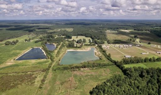 Photo #11 of SOLD property in 1241 Gum Swamp Road, Greenville, NC 43.0 acres