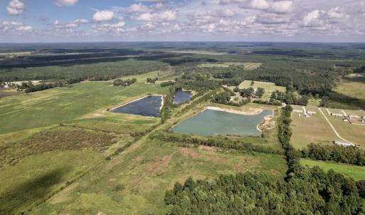 Photo #12 of SOLD property in 1241 Gum Swamp Road, Greenville, NC 43.0 acres