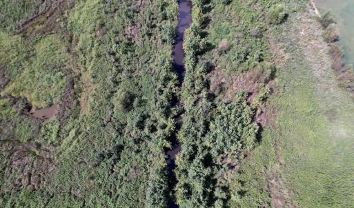 Photo #21 of SOLD property in 1241 Gum Swamp Road, Greenville, NC 43.0 acres
