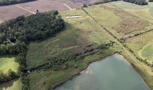 Photo #6 of SOLD property in 1241 Gum Swamp Road, Greenville, NC 43.0 acres