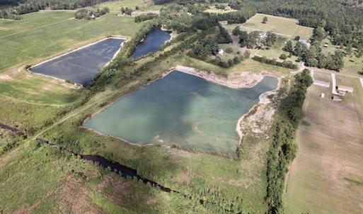 Photo #7 of SOLD property in 1241 Gum Swamp Road, Greenville, NC 43.0 acres