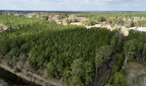Photo #11 of SOLD property in Off Lowland Road, Lowland, NC 2.7 acres