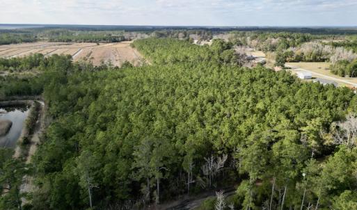 Photo #12 of SOLD property in Off Lowland Road, Lowland, NC 2.7 acres