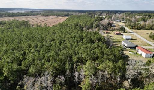 Photo #4 of SOLD property in Off Lowland Road, Lowland, NC 2.7 acres