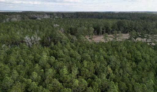 Photo #9 of SOLD property in Off Lowland Road, Lowland, NC 2.7 acres