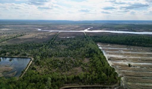Photo #2 of SOLD property in Off Lowland Road, Lowland, NC 38.8 acres