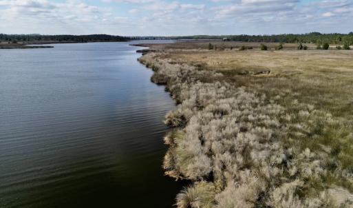 Photo #12 of SOLD property in Off Lowland Road, Lowland, NC 38.8 acres