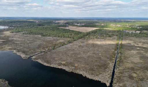 Photo #13 of SOLD property in Off Lowland Road, Lowland, NC 38.8 acres