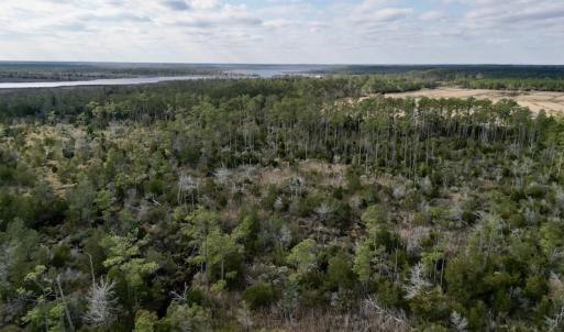 Photo #17 of SOLD property in Off Lowland Road, Lowland, NC 38.8 acres