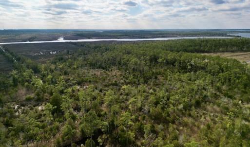 Photo #18 of SOLD property in Off Lowland Road, Lowland, NC 38.8 acres