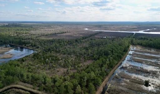 Photo #3 of SOLD property in Off Lowland Road, Lowland, NC 38.8 acres