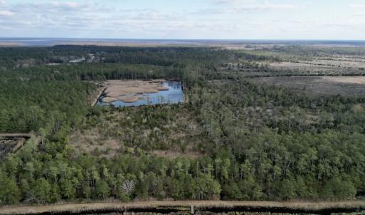 Photo #4 of SOLD property in Off Lowland Road, Lowland, NC 38.8 acres