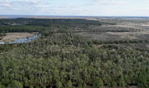 Photo #5 of SOLD property in Off Lowland Road, Lowland, NC 38.8 acres